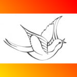 Singen Lernen Online